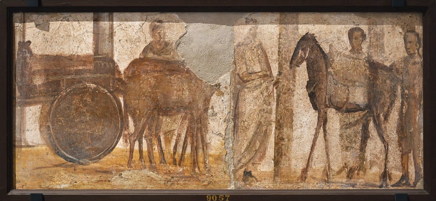Galleria del MANN, il Museo Archeologico Nazionale di Napoli