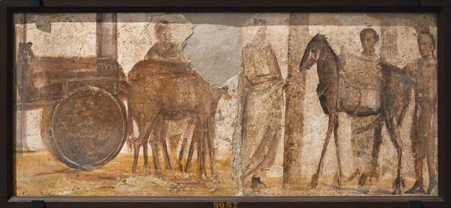 Museo Archeologico Nazionale di Napoli
